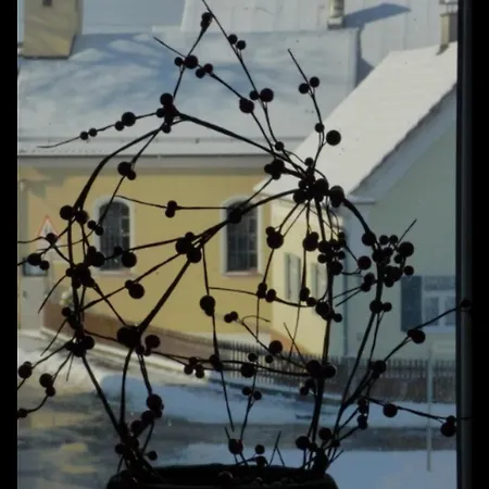 Διαμέρισμα Dorfliebe Reicherstein *